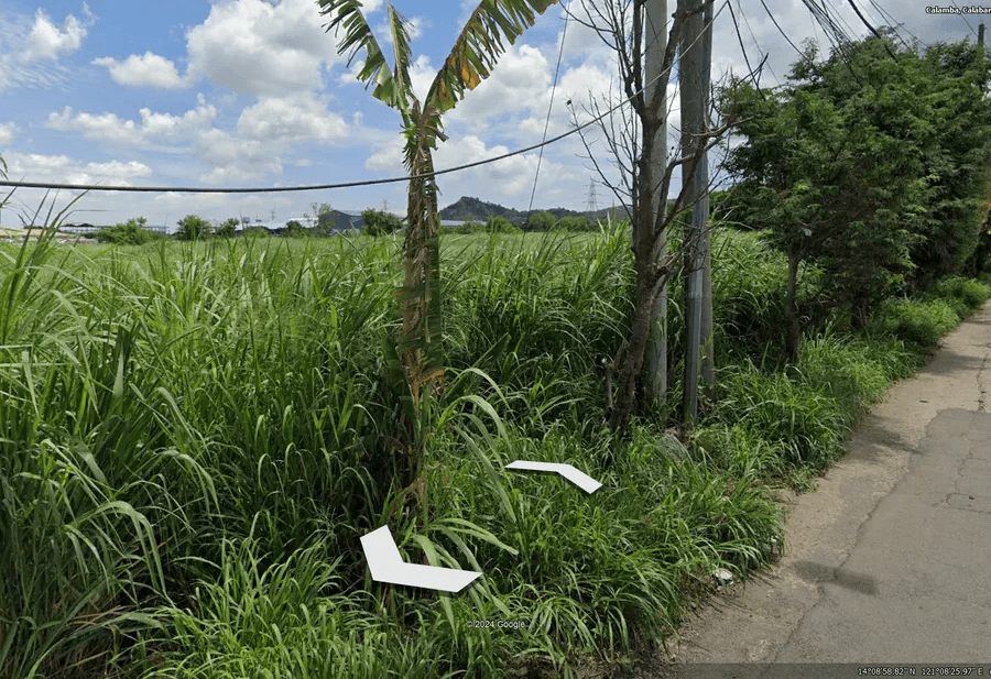 Industrial Lot for Sale in Barangay Makiling Calamba Laguna | 32,000 sqm