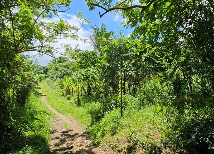 Land:Lot for Sale in Silang Cavite for Mixed Use Development | 12